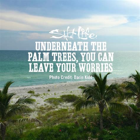 You can to use those 8 images of quotes as a desktop wallpapers. Pin by Jamie Umbarger on Salt Life Quotes | Palm tree quotes, Beach quotes, Palm trees