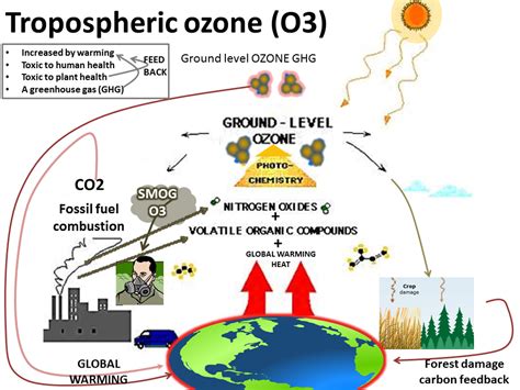 At Ground Level Ozone