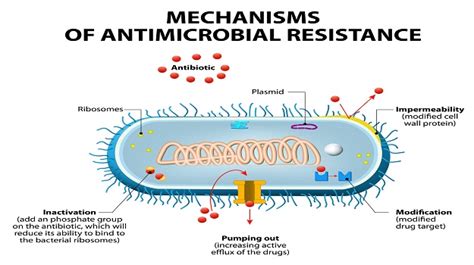 Companies Advance Antimicrobial Treatments For Drug Resistant Bacteria