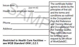 Ofa Level Surrey Occupational First Aid Level Surrey Mainland Safety