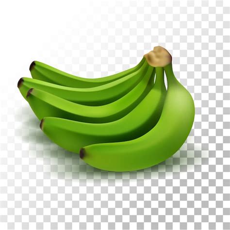 Ilustração de banana verde realista Vetor Premium