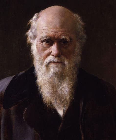 100 Portraits Portrait Robert Darwin