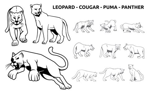 Leopard Cougar Puma Panther Big Cat Wildlife Animal Silhouette 14606434
