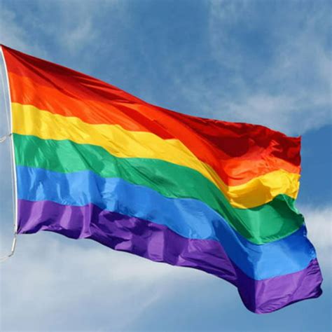 Gtp Rainbow Flag 3x5 Ft Polyester Flag Gay Pride Lesbian Peace Lgbt Flag W Brass Grommets
