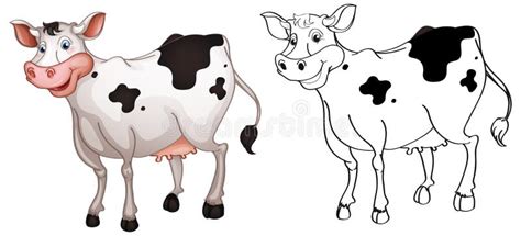Animal Outline For Cow Stock Vector Illustration Of Tropical 89443033
