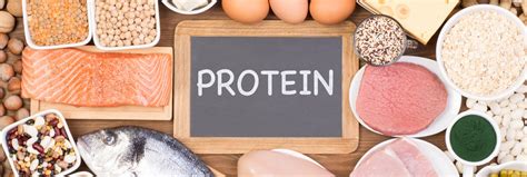 Cuáles Son Los Alimentos Ricos En Proteínas Fisiocrem