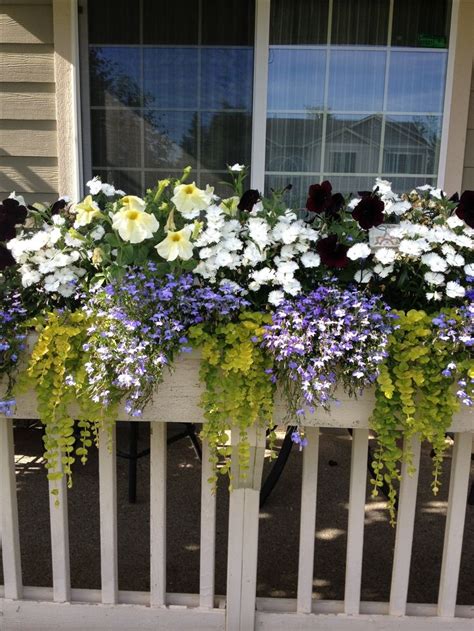 Tqvai over deck rail planter hanging flower pot holder balcony plant baskets, set of 3, black. Front porch railing flower box | garden/outdoors ...