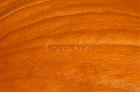 16785 Texture De Peau D Orange Photos Libres De Droits Et Gratuites De