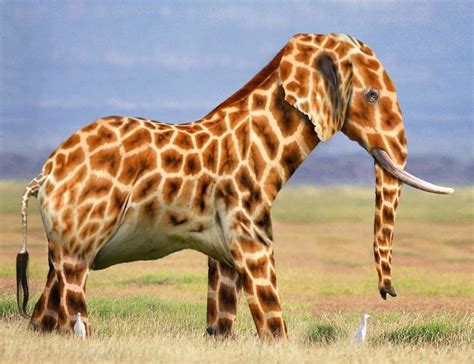 26 Photoshopped Animal Hybrids That Are Straight Out Of A