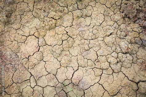 Dry Soil Texture Of A Barren Land Stock Photo Adobe Stock