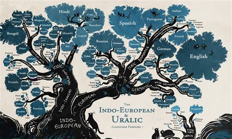 Indoeuropean Language Tree Il Nostro Secondo Progetto Erasmus