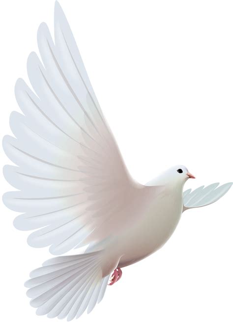 Funeral Dove Clipart 10 Free Cliparts Download Images On Clipground 2023