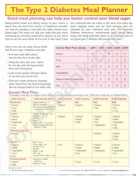 The Type 2 Diabetes Meal Planner Printable Pdf Download All In One Photos