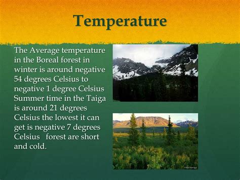 Ppt Boreal Taiga Forest Powerpoint Presentation Free Download Id