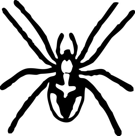 Spider Black And White Spider Clipart Black And White Free Images 3