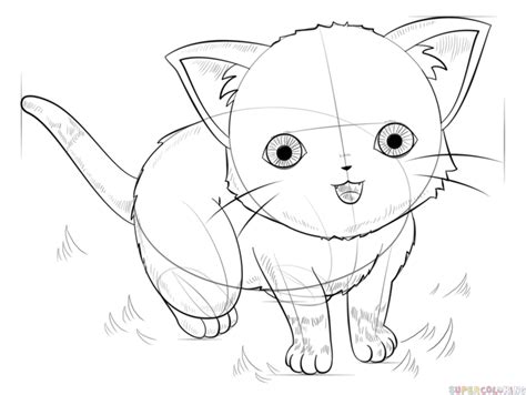Anime Cat Drawing At Getdrawings Free Download