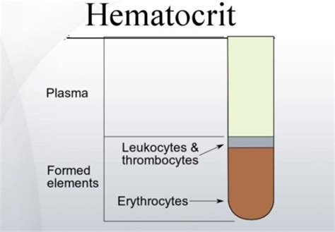 Hematocrit Labtest Causes Symptoms And Treatment A Total Healthcare