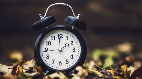 86 714 просмотров • 14 сент. It's time to 'fall back'! 9 ways to make a time change ...