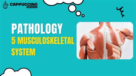 Musculoskeletal Pathology 5a Youtube