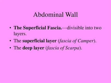 Ppt Abdominal Wall Powerpoint Presentation Free Download Id5544036
