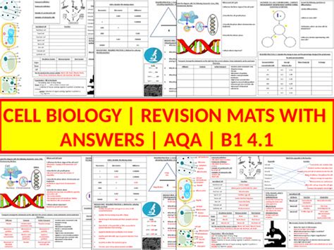B1 Revision Mats 41 Cell Biology Aqa With Answers Teaching