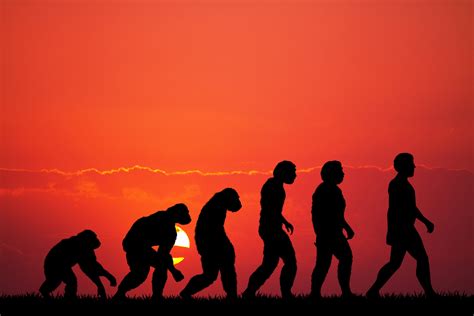 ‘human Evolution Is A Misnomer Humanize