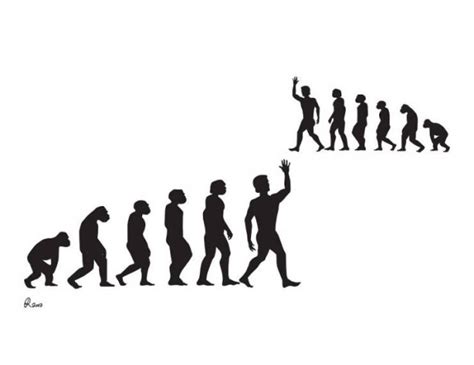 Funny Illustrations About The Evolution Fun