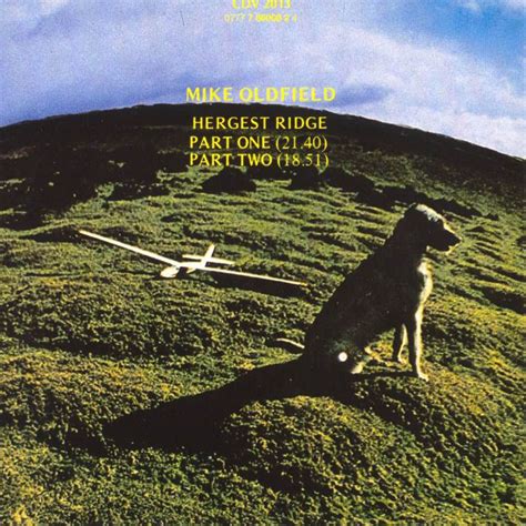 Mike Oldfield And The Irish Wolfhound The Flipside Of His 3rd Album
