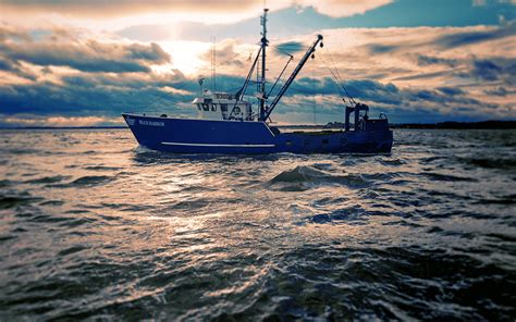 Blue Harvest Fisheries Llc Marine Services Division Newport News