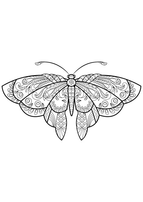 Butterfly Beautiful Patterns 1 Butterflies And Insects Adult Coloring