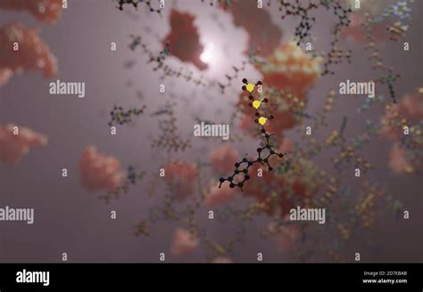 Molécula De Atp Fotografías E Imágenes De Alta Resolución Alamy