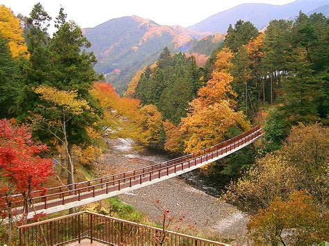 秋川渓谷の秋市内の紅葉情報11月16日現在 あきる野市