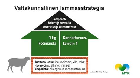 Valtakunnallinen lammasstrategia - Suomen Lammasyhdistys