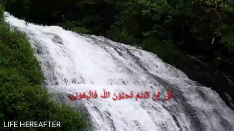 Surah Al Imran Ayat 30 Youtube