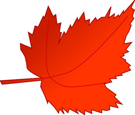 Free Vector Graphic Maple Autumn Fall Leaf Red Free Image On