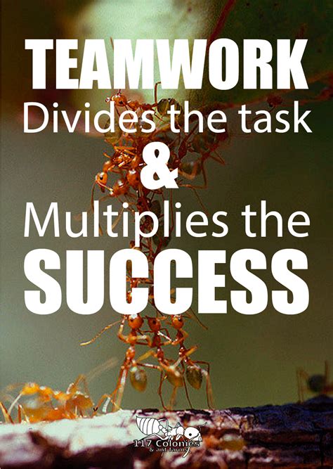 Teamwork Divides The Task And Multiplies Success Ants Antfarms
