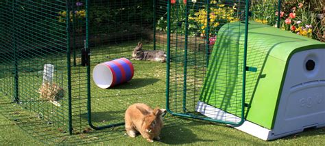 Outdoor Rabbit Run Large Outdoor Rabbit Enclosure Rabbit Hutches