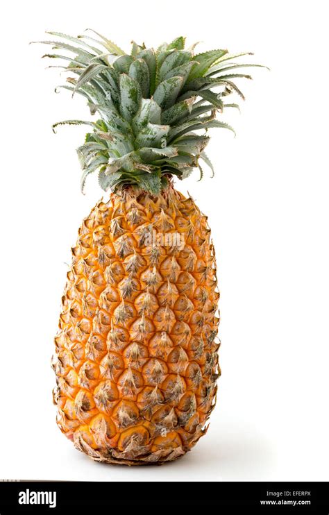 Whole Pineapple Fruit Isolated On White Background Stock Photo Alamy