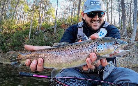 Best Trout Lures Of 2023 Outdoor Life