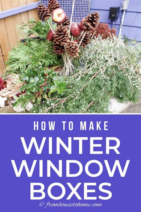Winter Window Boxes How To Make Winter Planter Displays The Easy Way