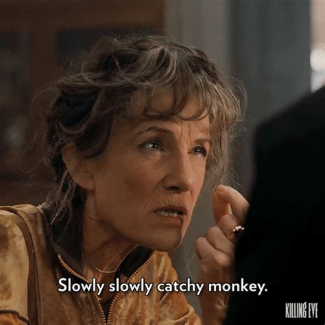 Slowly Slowly Catchy Monkey GIFs Get The Best GIF On GIPHY