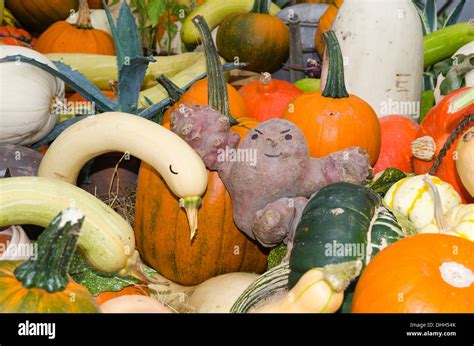 Happy Gourds Hi Res Stock Photography And Images Alamy