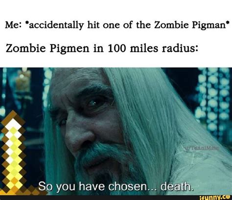 Me Accidentally Hit One Of The Zombie Pigman Zombie Pigmen In 100
