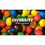 Different Types Of Diversity To Consider  Andrew Vorster