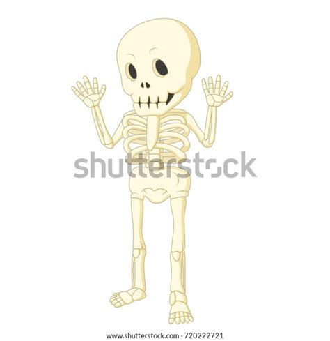 Vector Illustration Cartoon Funny Human Skeleton 스톡 벡터 로열티 프리 720222721 Shutterstock