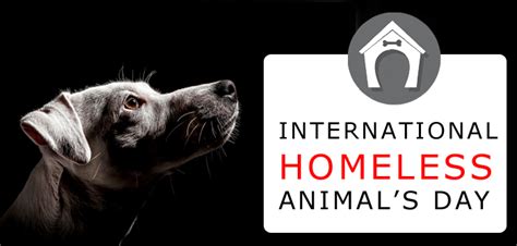 Use your mastercard® on a $35 or more purchase from a shop featured on this page, and you'll get a $10 etsy credit! Huge OFF On International Homeless Animals' Day 2015