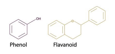 A Guide To Wine Phenolics Jennifer Angelosante Feature Articles