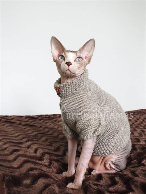 Free Shipping Cat Clothes Cat Sweater Sweater For Cat