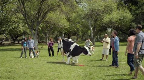 Chick Fil A Tv Commercial Cow Tricks Ispottv