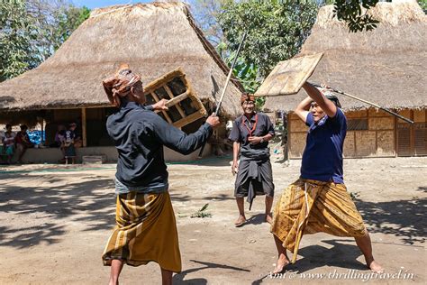 Traditions And Tales From The Sasak Village Lombok Thrilling Travel